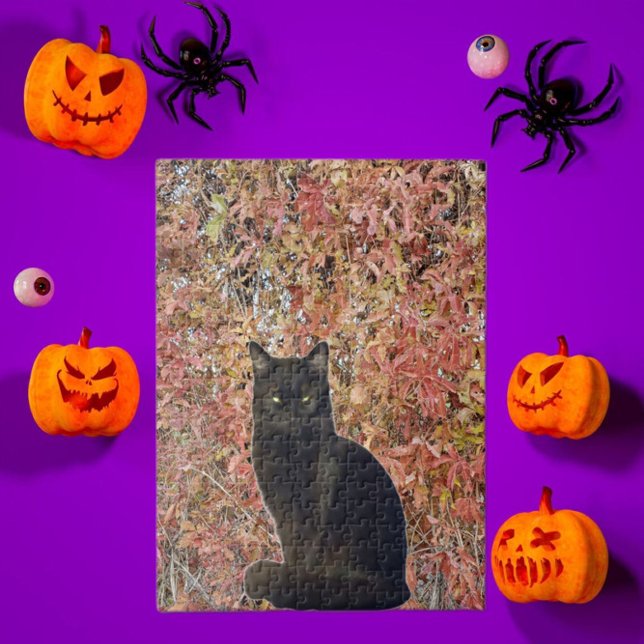 Foto der schwarzen Katze mit Orangen Herbstblätter (Von Creator hochgeladen)