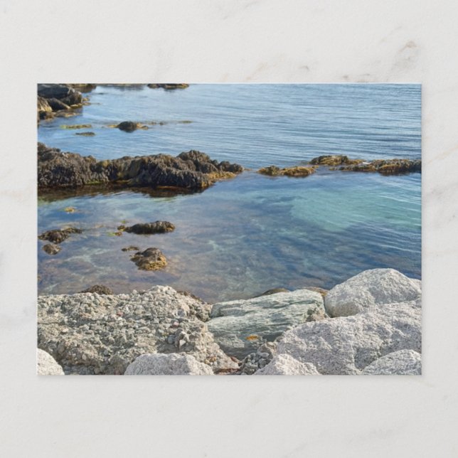 Foto der Tiefsee Transluzente Atlantikgewässer Postkarte (Vorderseite)