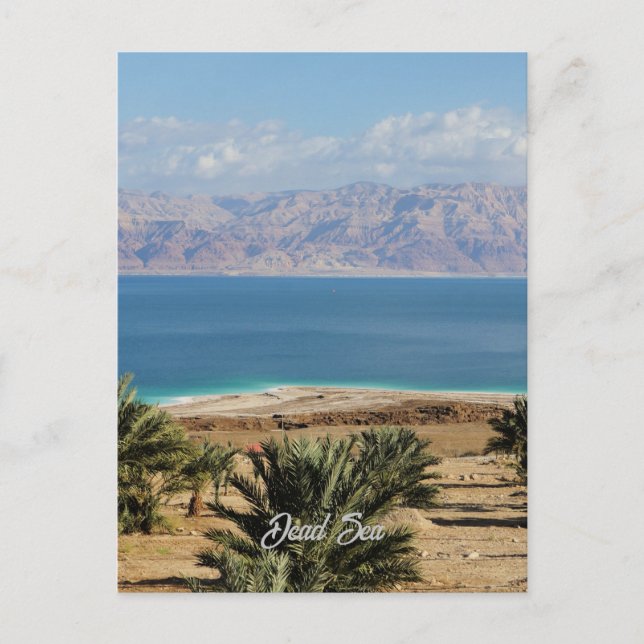 Foto der Totenmeerlandschaft Postkarte (Vorderseite)