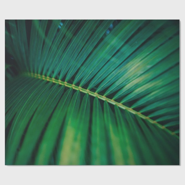 Foto der tropischen Natur mit grünen Blättern Geschenkpapier (Flach)