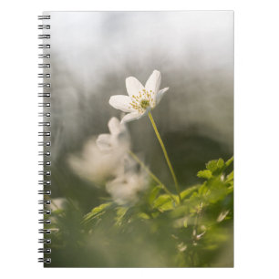 Foto der Weißen Blume Notizblock