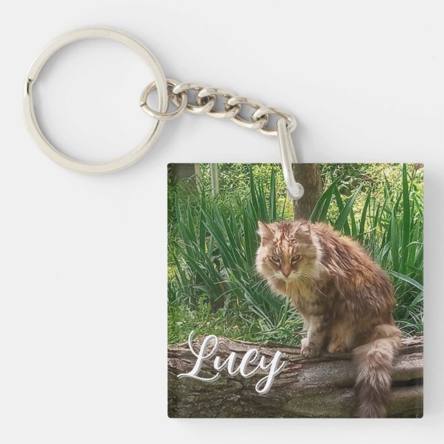 Foto der Wilden Katze / Katzensprung Schlüsselanhänger (Vorderseite)