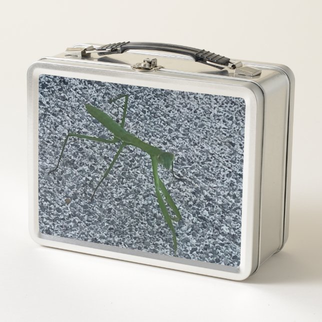 Foto des Betens von Mantis Insekt Lunch Boxen (Vorderseite)