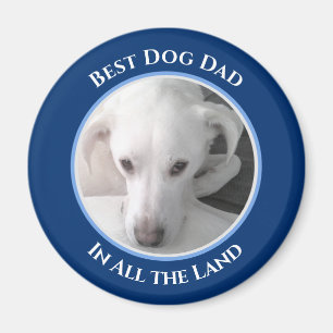 Foto des einzigartigen Labrador Retriever Mix Best Magnet