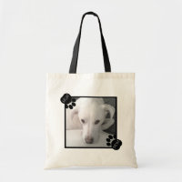 Foto des einzigartigen Labrador Retriever Mix Blac