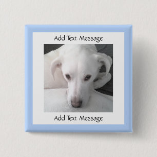 Foto des einzigartigen weißen Labrador Retriever M Button