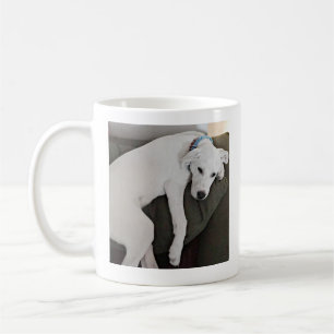 Foto des erschöpften Welpenhundes, der vom Stuhl a Kaffeetasse