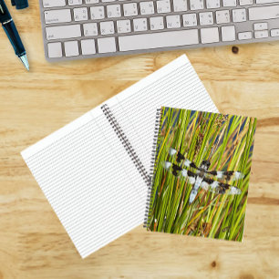 Foto des Gemeinen Weißen Schwebfliegen-Libellen Notizbuch