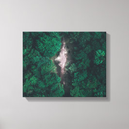 Foto des grünen Waldes Leinwanddruck