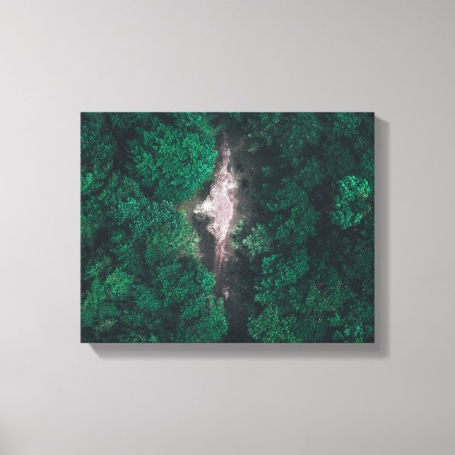 Foto des grünen Waldes Leinwanddruck (Vorderseite)