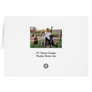 Foto des Hundes in der Wanne, Duschenkappe,