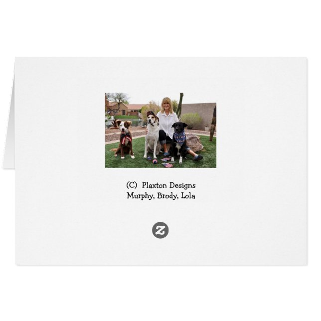 Foto des Hundes in der Wanne, Duschenkappe, (Rückseite Horizontal)