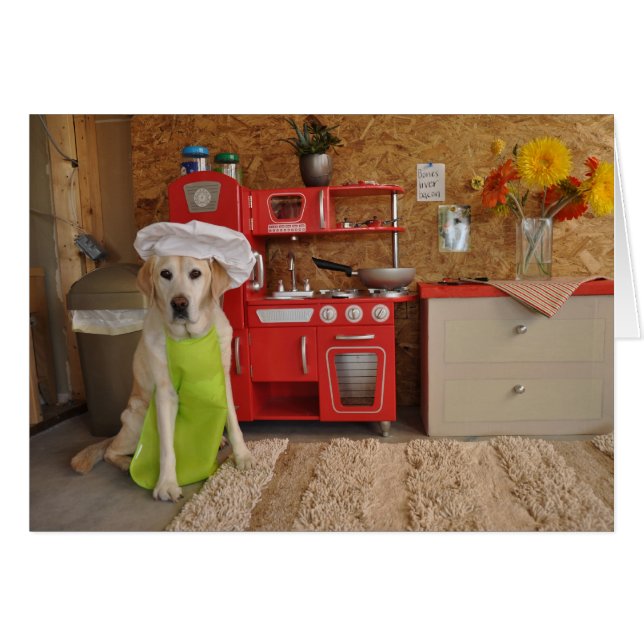 Foto des Hundes mit dem Hut des Koch an (Vorderseite (Horizontal))