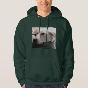 Foto des Hundes mit einem großen Gesicht Hoodie