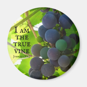 Foto des Lila Traubenschnitts von John Bible Verse Magnet