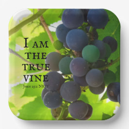 Foto des Lila Traubenschnitts von John Bible Verse Pappteller