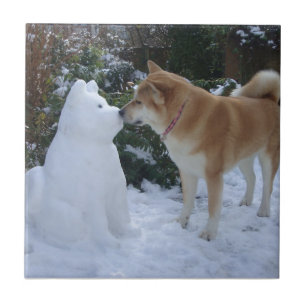 Foto des niedlichen akita küssen Schneemann akita Fliese