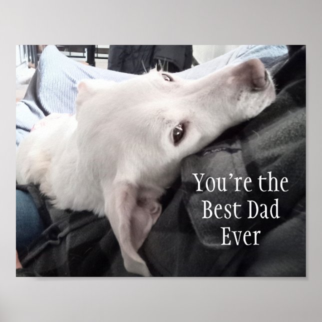 Foto des Niedlichen Hundes Bester Vater je Poster (Vorne)