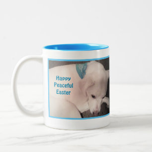 Foto des Niedlichen Hundes friedlich und friedlich Zweifarbige Tasse