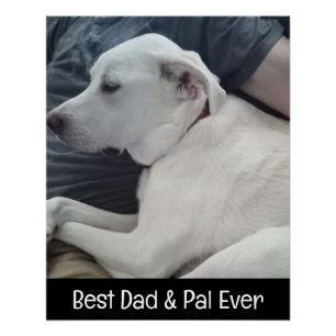 Foto des Niedlichen Hundes mit dem besten Pal Ever Poster