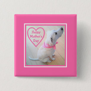 Foto des Niedlichen Hundes mit rosa Skarvenschnupf Button