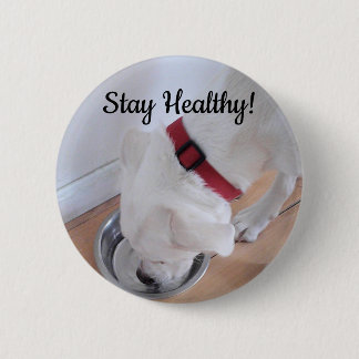 Foto des Niedlichen Hundes Trinkwasser Motivierend Button