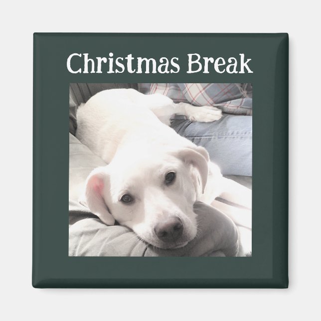 Foto des Niedlichen Hundes Weihnachtsbause Grün Magnet (Vorne)