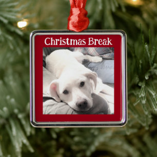 Foto des Niedlichen Hundes Weihnachtsbreak Rot Ornament Aus Metall