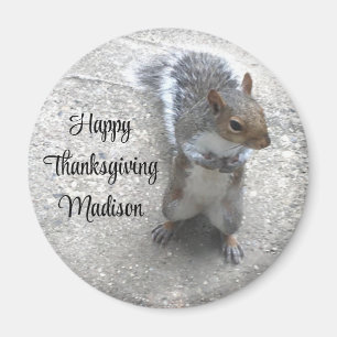 Foto des Niedlichen kleinen Eichhörnchens mit Fluf Magnet