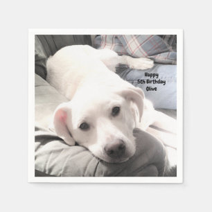 Foto des Niedlichen, müde weißen Hundes auf Couch Serviette