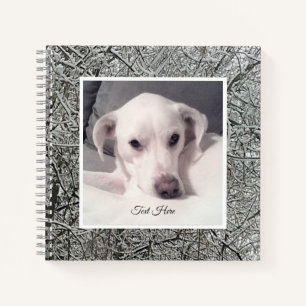 Foto des Niedlichen Weißen Hundes am schönen Winte Notizbuch