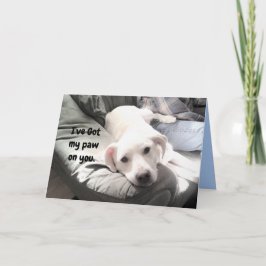 Foto des Niedlichen weißen Hundes, der sich mit de Karte