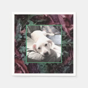 Foto des Niedlichen weißen Hundes mit Kleeblättern Serviette