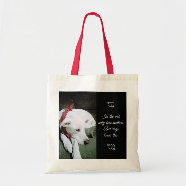 Foto des Niedlichen weißen Hundes mit Scarf Valent Tragetasche (Vorne)