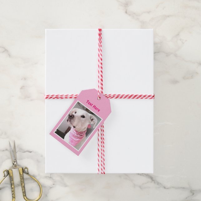 Foto des Niedlichen weißen Welpenhundes mit rosa S Geschenkanhänger (Mit Garn)