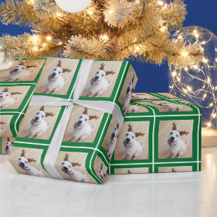 Foto des Niedlichen Welpenhundes Grün Geschenkpapier
