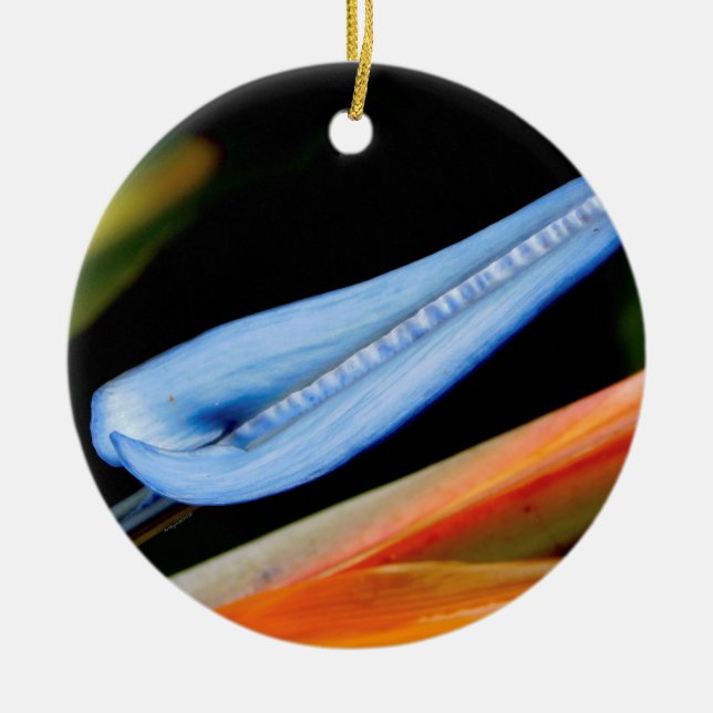 Foto des Paradieses Keramik Ornament (Vorne)