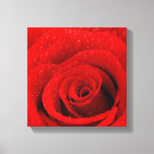 Foto des Rosen-Hintergrundes Leinwanddruck