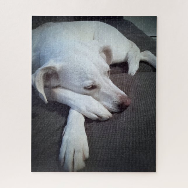 Foto des schlafenden weißen Hundes mit Niedlichen  (Vertikal)