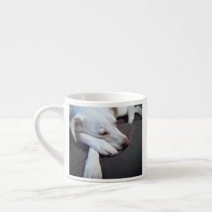 Foto des Schlafens Hund Speedy Erholung gut Espressotasse