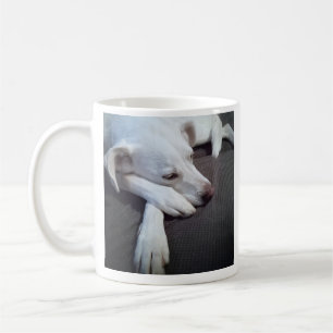 Foto des Schlafens Hund Speedy Erholung gut Kaffeetasse