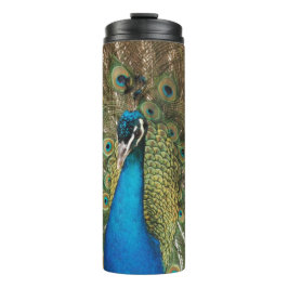Foto des schönen Pfauens mit Spread Feathers Thermosbecher