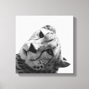 Foto des wilden Tieres Leopard Cheetah Leinwanddruck