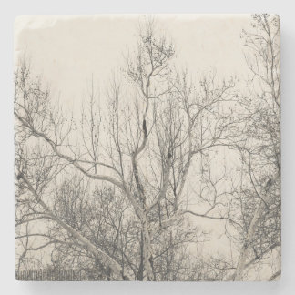 Foto des Winter-Nebels in Central Park NYC Steinuntersetzer