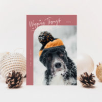 Foto des Winterhundes - Rosa Weihnachten