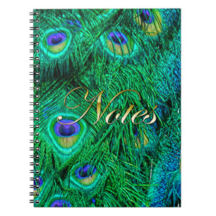 Foto-Design für Radiant Peacock Feathers Notizblock