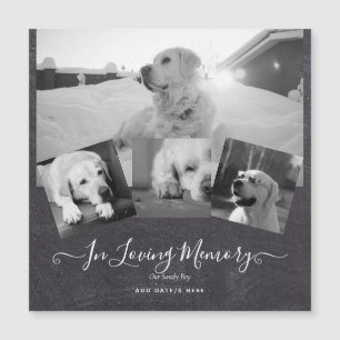 FOTO Dog Memorial Gift - Pet Loss Keepake Collage Magnetkarte