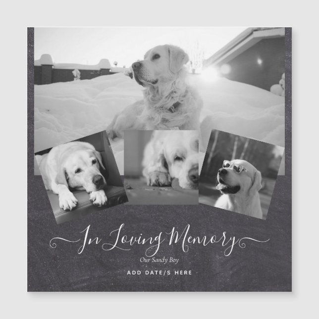FOTO Dog Memorial Gift - Pet Loss Keepake Collage Magnetkarte (Vorderseite)