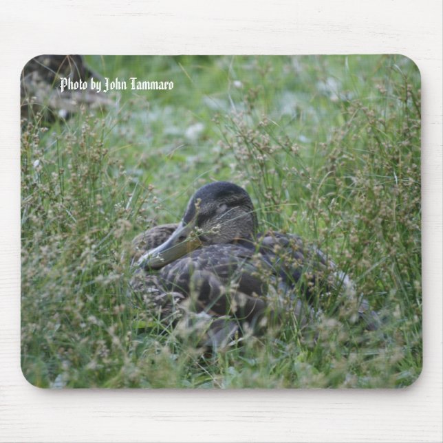Foto durch John Tammaro Mousepad (Vorne)