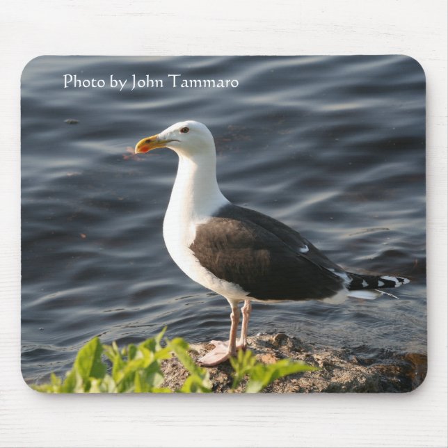 Foto durch John Tammaro Mousepad (Vorne)